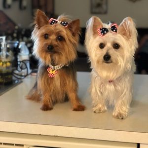 Meet your Posher, Lois